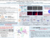 492_HACHICHA_Hela_P043-Les-alterations-cellulaires-et-moleculaires-du-muscle-squelettique-chez-les-patients-at
