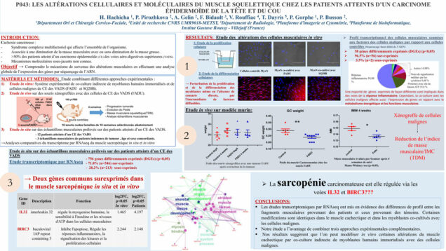 492_HACHICHA_Hela_P043-Les-alterations-cellulaires-et-moleculaires-du-muscle-squelettique-chez-les-patients-at