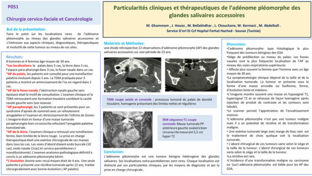 500_houas_jihene_P051-Particularites-cliniques-et-therapeutiques-de-ladenome-pleomorphe-des-glandes-salivaires-accessoires