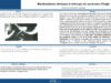 527_PAUCHET_Daphne_P078-Manifestations-cliniques-et-chirurgie-du-syndrome-dEagle