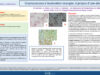 598_El-omri_Malika_P147-Cryptococcose-a-localisation-laryngee-A-propos-dune-observation