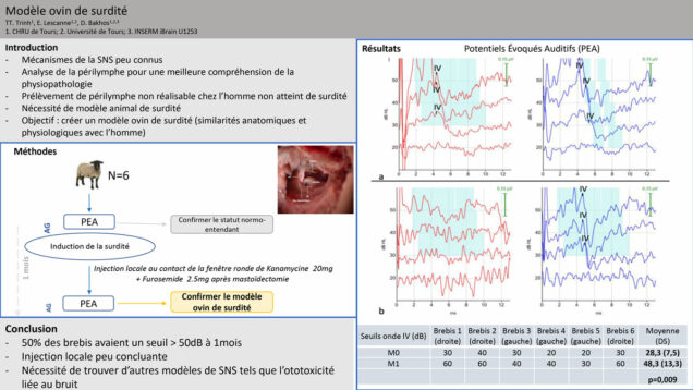 638_TRINH_Thuy-Tran_P187-Modele-ovin-de-surdite
