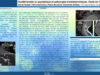 649_FELISATI_Elena-Giulia_P198-Surdite-brutale-ou-asymetrique-et-pathologies-intralabyrinthiques