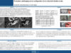 656_Mostafa_Badr_P205-Evaluation-radiologique-de-la-configuration-de-la-niche-de-la-fenetre-ronde