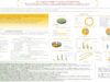 662_Salhi_Kacim_P211-Analyse-descriptive-des-dommages-de-reille-moyenne-generes-par-le-souffle