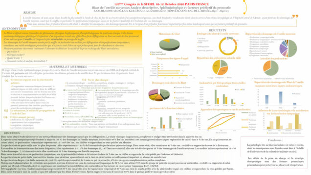 662_Salhi_Kacim_P211-Analyse-descriptive-des-dommages-de-reille-moyenne-generes-par-le-souffle