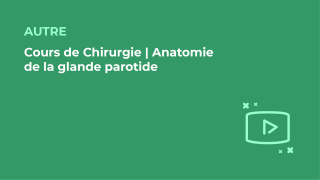 SFORL_VIEWR_video_vignettes-COMMUNAUTEORL1