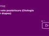 SFORL_VIEWR_video_vignettes-COMMUNAUTEORL113
