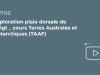 SFORL_VIEWR_video_vignettes-COMMUNAUTEORL13