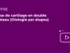 SFORL_VIEWR_video_vignettes-COMMUNAUTEORL133