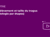 SFORL_VIEWR_video_vignettes-COMMUNAUTEORL138