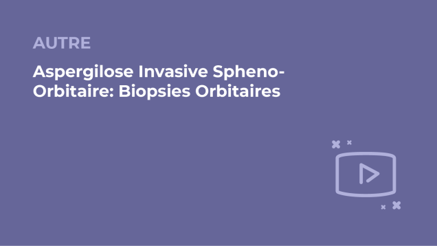 SFORL_VIEWR_video_vignettes-COMMUNAUTEORL155