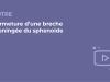 SFORL_VIEWR_video_vignettes-COMMUNAUTEORL164