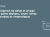 SFORL_VIEWR_video_vignettes-COMMUNAUTEORL19