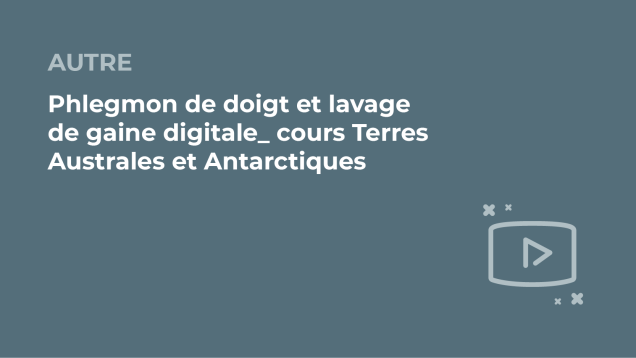 SFORL_VIEWR_video_vignettes-COMMUNAUTEORL19