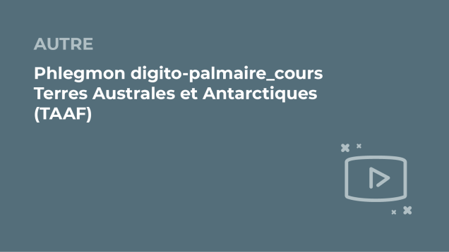 SFORL_VIEWR_video_vignettes-COMMUNAUTEORL20