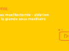 SFORL_VIEWR_video_vignettes-COMMUNAUTEORL77
