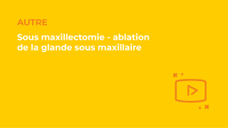 SFORL_VIEWR_video_vignettes-COMMUNAUTEORL77