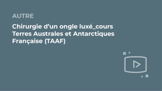 SFORL_VIEWR_video_vignettes-COMMUNAUTEORL8