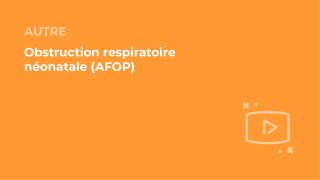 SFORL_VIEWR_video_vignettes-COMMUNAUTEORL84