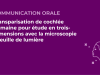 SFORL_VIEWR_video_vignettes-CONGRES_Audiologie-otologie-Oto-neurologie-vertiges141