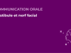 SFORL_VIEWR_video_vignettes-CONGRES_Audiologie-otologie-Oto-neurologie-vertiges151