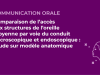 SFORL_VIEWR_video_vignettes-CONGRES_Audiologie-otologie-Oto-neurologie-vertiges21