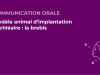 SFORL_VIEWR_video_vignettes-CONGRES_Audiologie-otologie-Oto-neurologie-vertiges95