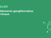 SFORL_VIEWR_video_vignettes-CONGRES_Chirurgie-cervico-faciale-et-Cancerologie55