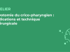 SFORL_VIEWR_video_vignettes-CONGRES_Chirurgie-cervico-faciale-et-Cancerologie89