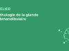SFORL_VIEWR_video_vignettes-CONGRES_Chirurgie-cervico-faciale-et-Cancerologie94