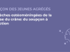 SFORL_VIEWR_video_vignettes-CONGRES_Rhinologie-et-Allergie9